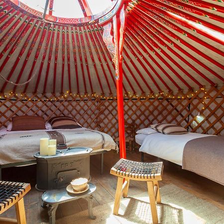 Hobo Camping Courmayeur Bagian luar foto