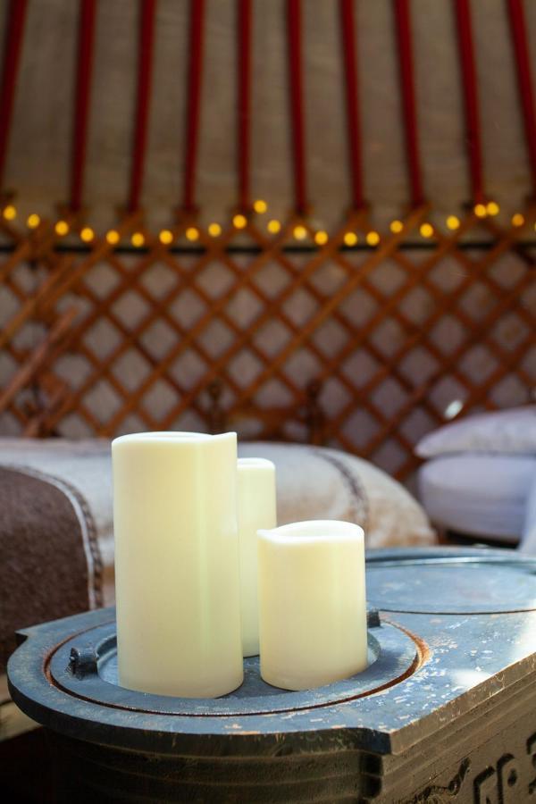 Hobo Camping Courmayeur Bagian luar foto