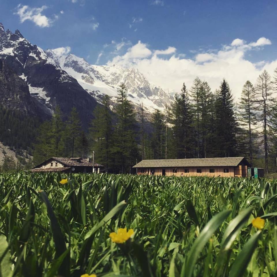 Hobo Camping Courmayeur Bagian luar foto