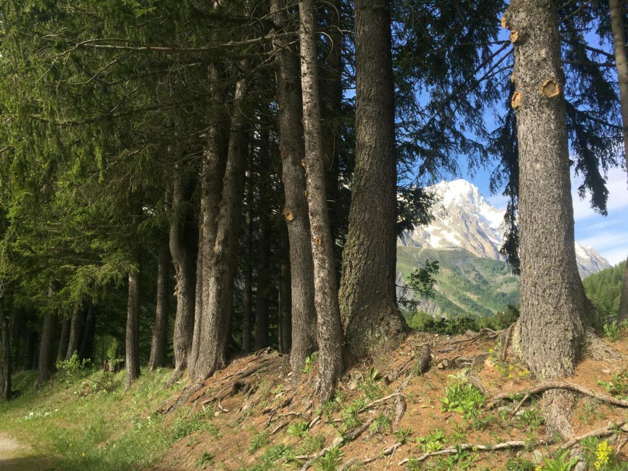 Hobo Camping Courmayeur Bagian luar foto